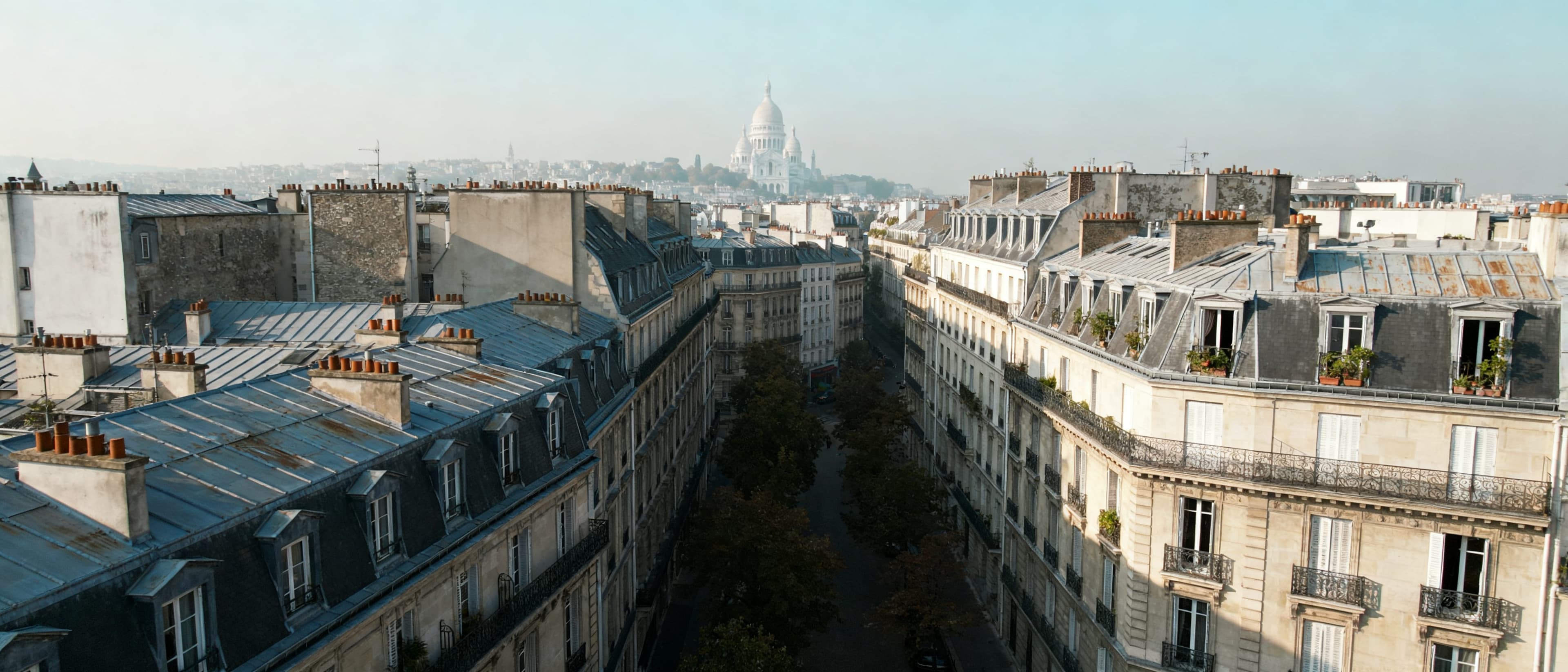 Toits haussmanniens de Paris